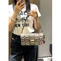 紧急求购同款女包 有货的联系